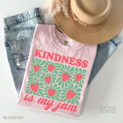 Comfort Colors® Kindness Shirt Teacher T Shirt Christian Shirt Positive Tee, Mental Health Gifts